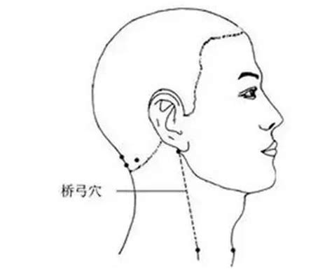 橋弓穴位置|適度按壓橋弓穴 可降血壓